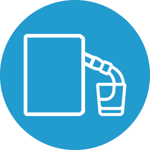 Eco Icon