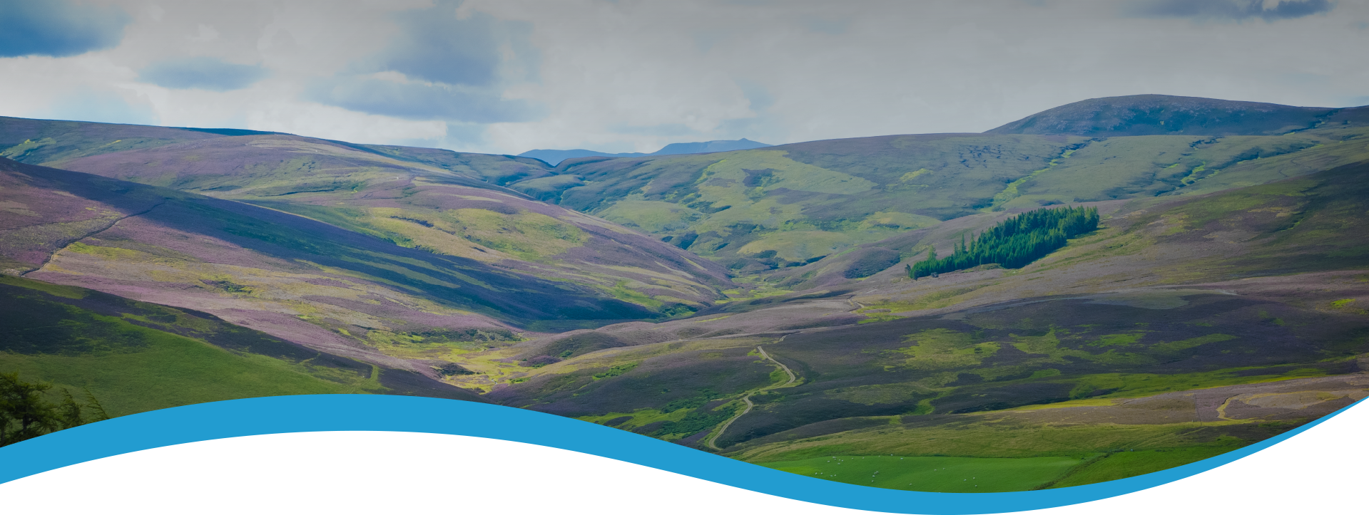 OO3126-PURELY-SCOTTISH-WEBSITE-DEVELOPMENT---Y---THE-PURELY-SCOTTISH-DFFERENCE-SUPPLY-1-3